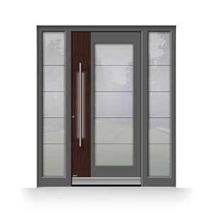 Haustür aus Sicherheitsglas mit LED-Beleuchtung und Fingerscan - TFZ Leipzig